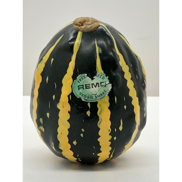 Remo Other - Remo Veggie Shake Hand Percussion Gourd Style Shaker Green Yellow Striped